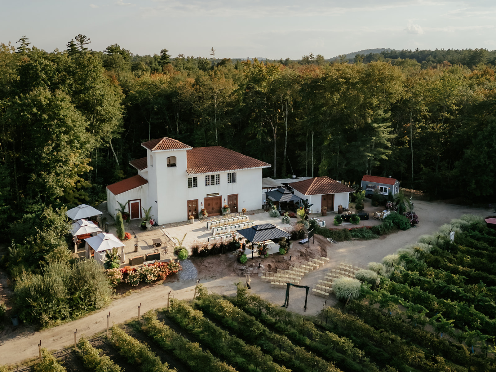 Fulchino Vineyard Wedding